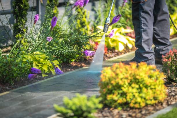 Thornwood, NY Pressure Washing Pros